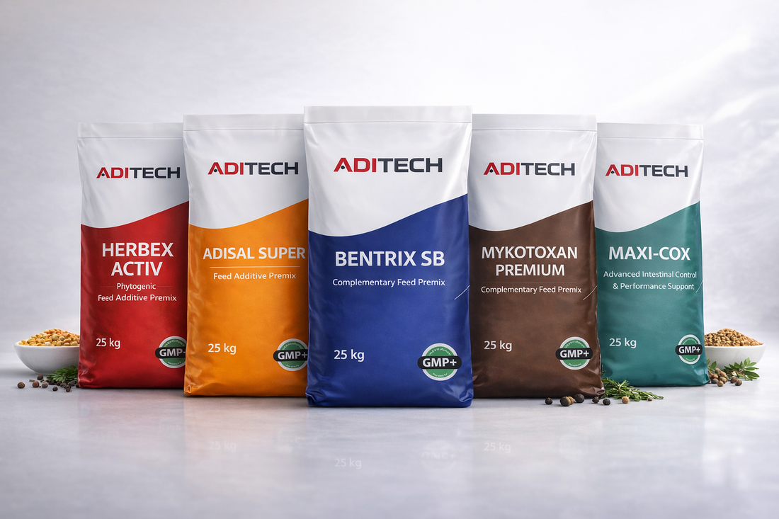 Feed Additive Strategies for Poultry Performance