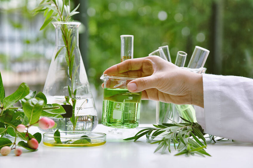 Phytogenic Feed Additives in Animal Nutrition – Aditech Polska